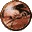 Link to VSF Other