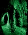 The Crypt